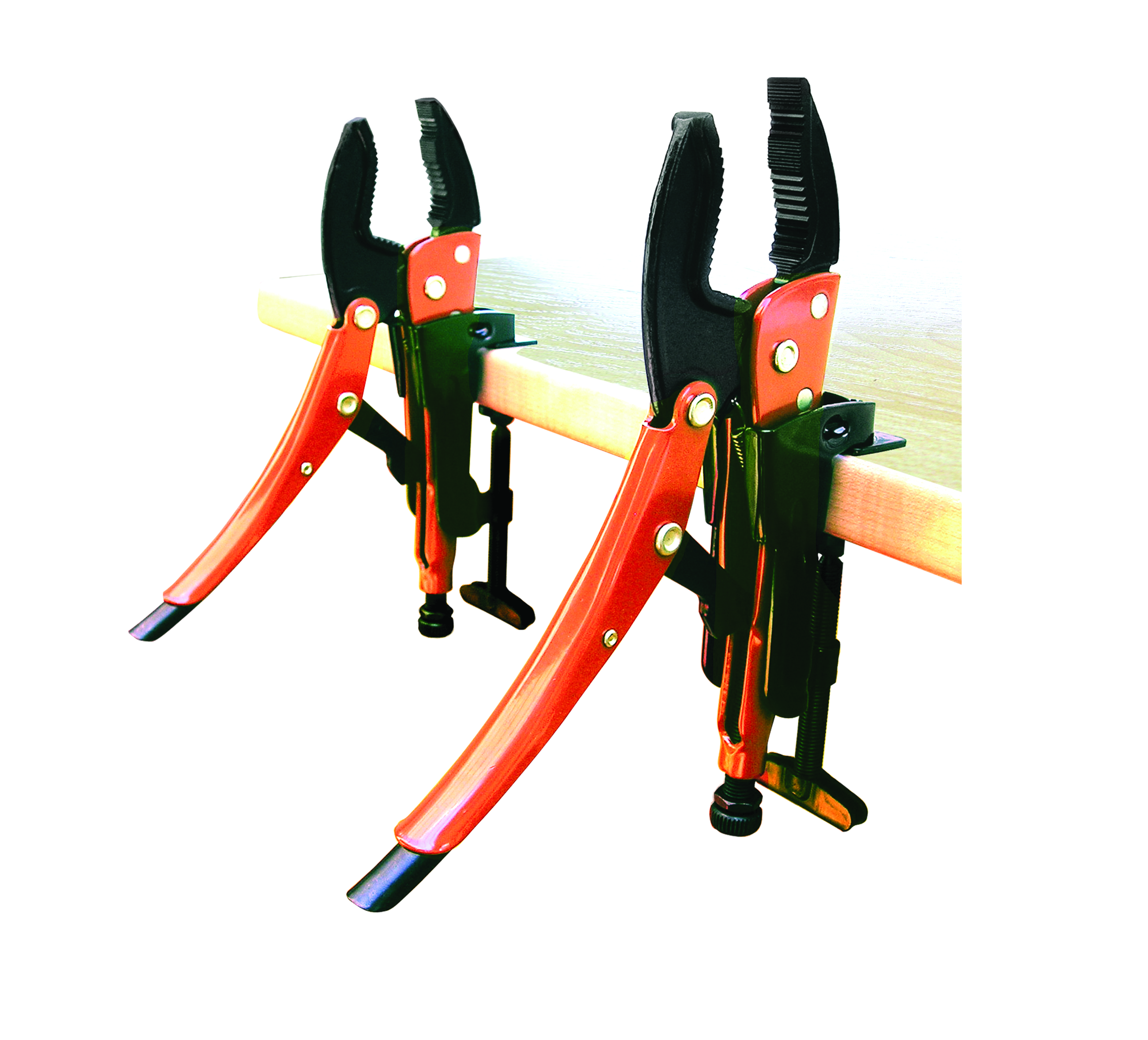 10549747_visuel 6.png